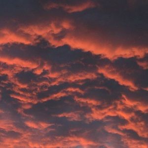 Meet your Posher, Quinn